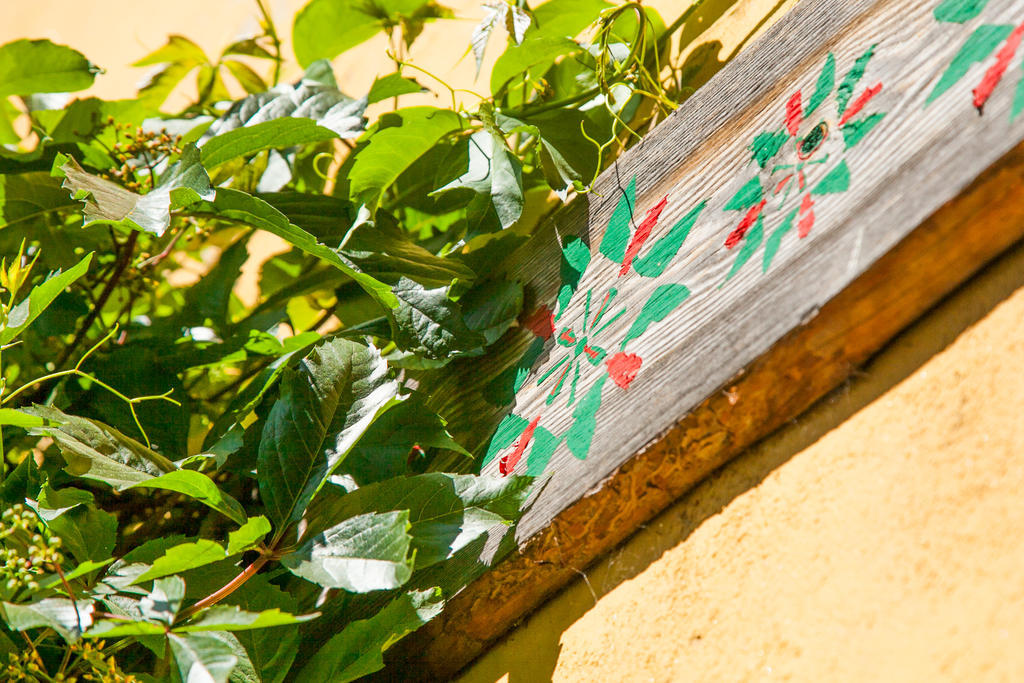 تالين Mo Hostel المظهر الخارجي الصورة
