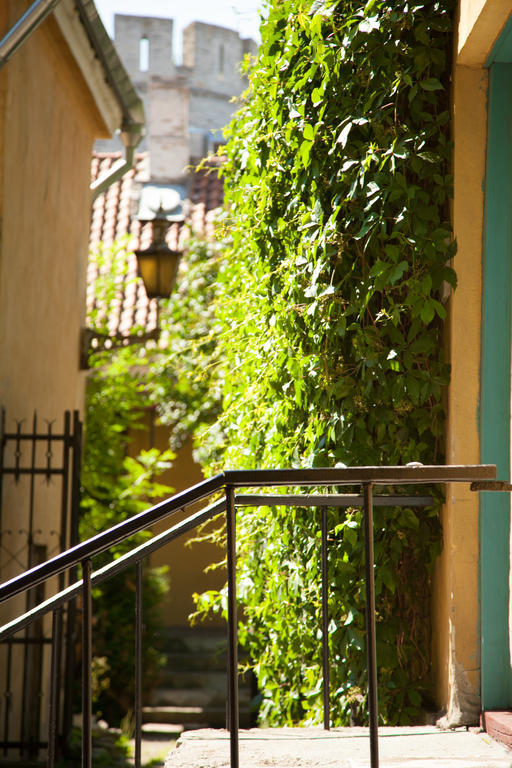 تالين Mo Hostel المظهر الخارجي الصورة